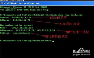 简单好记的2级域名在哪申请？全面指南与优势分析