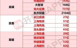 上海龙联的稳定性及未来发展分析