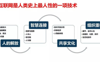 人文网，构建网络社会的稳定基石