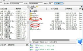 求助，虚拟主机绑定子目录的详细步骤与常见问题解析