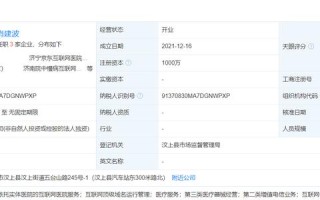 一网打尽，揭秘61个域名共用一个IP的京东式商城运营策略