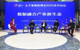 八一数据，数字背后的力量，重塑新时代商业版图