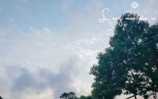 七朵云的奇幻之旅，探寻天空中的秘密花园