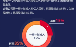 阿里巴巴顶级域名备案被打回，应对策略与未来展望