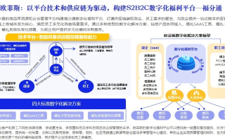 东邦互联，重塑区域合作的数字桥梁