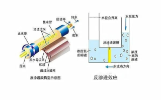 炒米网评测，深度解析净水机之王RO膜技术的卓越性能