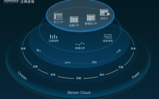 网云数据，重塑数字时代的商业格局与价值创造