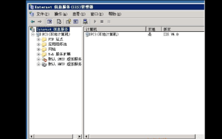 云主机IIS建站助手与自行配置环境，哪个更适合你？