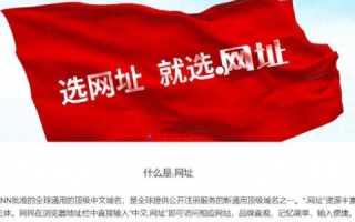 中文域名，价值、成本与实用性探讨