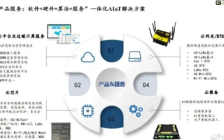 综述，若云科技的实战使用经历与考量