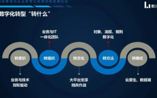 探讨中国数网官网，数字化时代的桥梁与枢纽