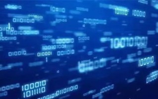 粉云网络，重塑数字世界的创新力量