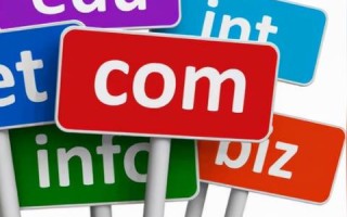 用NET做的网站是否可以使用后缀为COM的域名？