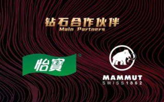探索域名PUBLICCSHNCN背后的故事，CN顶级域名的中国网络之旅