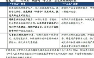全面聚焦，纬兴网络的实力、优势与未来展望