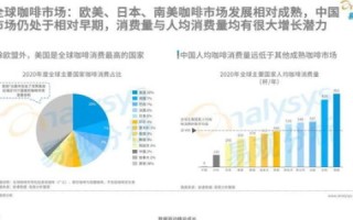 站长工具全面剖析，功能优劣、适用场景及未来趋势