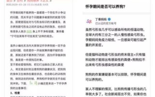 探索华创互联，用户体验与实际应用感受的深度解析