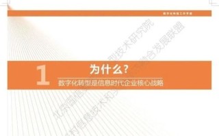 飞鹰网络，破晓新业务时代的数字领航者