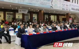 网络文化之舟，探索华夏名网的多维价值