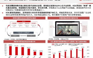 深入浅出分析世纪网赢评测，洞悉互联网营销新时代的机遇与挑战