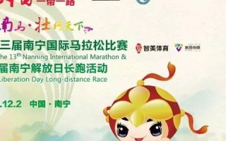 域名注册所有人与主办单位名称不一致，解决方案与合规性探讨
