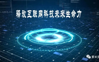 讯景网络，解锁未来互联网的无限可能