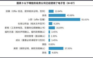 跨越国界的网络疆域，国内申请域名服务器放置国外的法律与限制解析