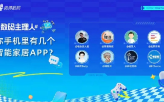乐猫网络评测，深度解析互联网服务，为用户量身打造最佳网络体验