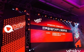 TV域名，解锁数字时代电视传媒的新篇章