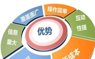 架设网站服务器成本详解，从预算规划到优化策略