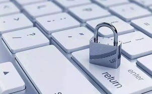 西科互联，技术创新与稳定性并重的互联网新星