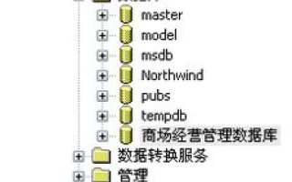 您输入的域名有误或站点访问失败，探索网络迷宫的奥秘与解决之道