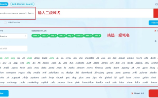 如何查询未注册域名，全面指南与实用技巧