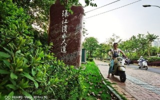 赛思铁克，重塑数字时代的桥梁建造者