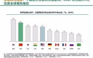 万维网在中国的稳定与未来，技术与政策的双重挑战