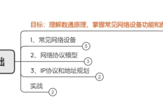 金豹网络的稳定性，从实践到理论的深度解析