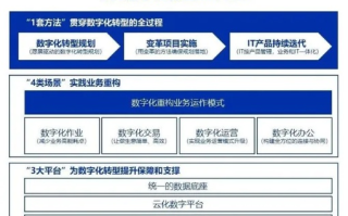 基于湖北华夏数据的数字化转型之路探讨