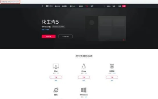 花生壳域名如何用于远程控制服务端