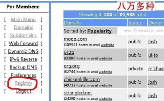 谁帮我申请一个TK域名，探索免费顶级域名的奥秘与局限