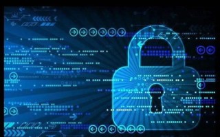 中介网稳定吗，在金融市场的多面镜像与风险控制策略