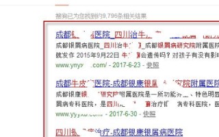 真正做到站长堂评测，优化网站体验与SEO细节带来更有效转化率