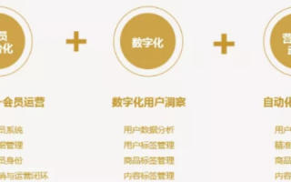 网络时代的百胜网络，如何领跑数字化转型的浪潮