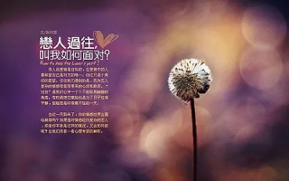 心缘网络—探索心灵的神秘之旅，你的灵魂栖息地