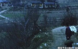 青云是否稳定，一个深度解析的视角