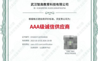 雅虎域名证书，保障在线安全与信誉的基石