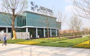 淄博齐赛智网官网，引领网络新未来，共筑智慧城市新篇章