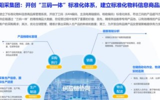 城邑互联，探索智慧城市建设的新路径及用户真实体验分享