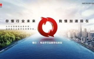奇异互动，探索未来数字经济中的创新与挑战