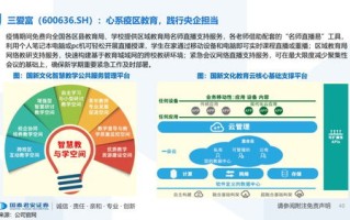 探索免费域名与空间，构建广告平台的可能性与限制