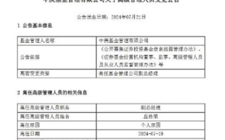 潇湘网络的用户体验报告，探寻这个网络平台的魅力与挑战